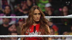 Nikki Bella Drawing Internal WWE Praise For Social Media Numbers