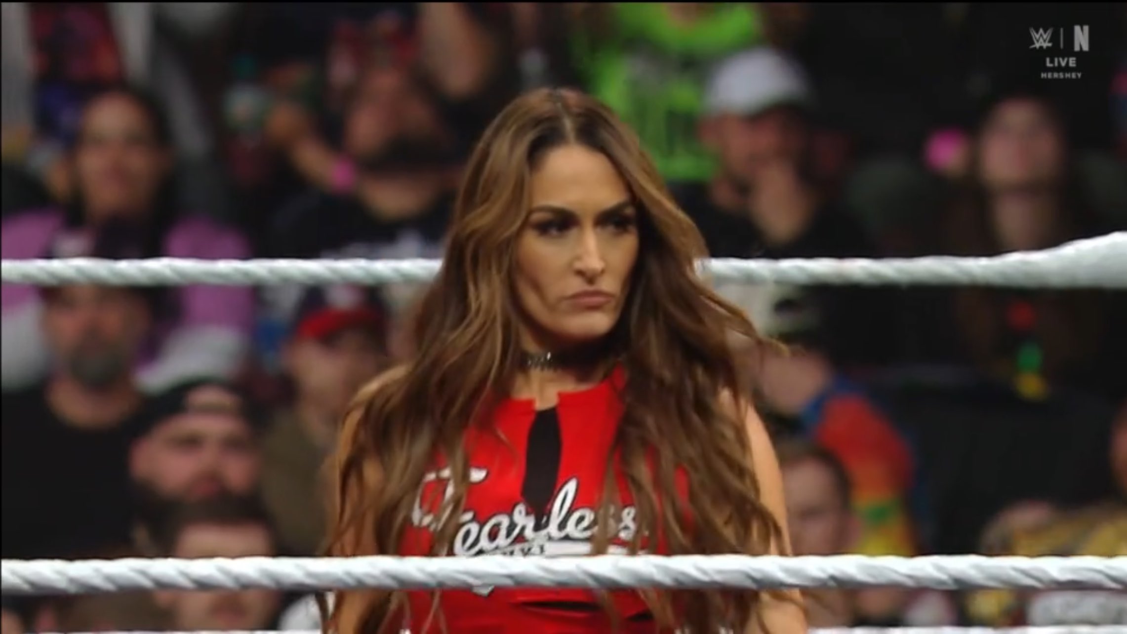 Nikki Bella Drawing Internal WWE Praise For Social Media Numbers