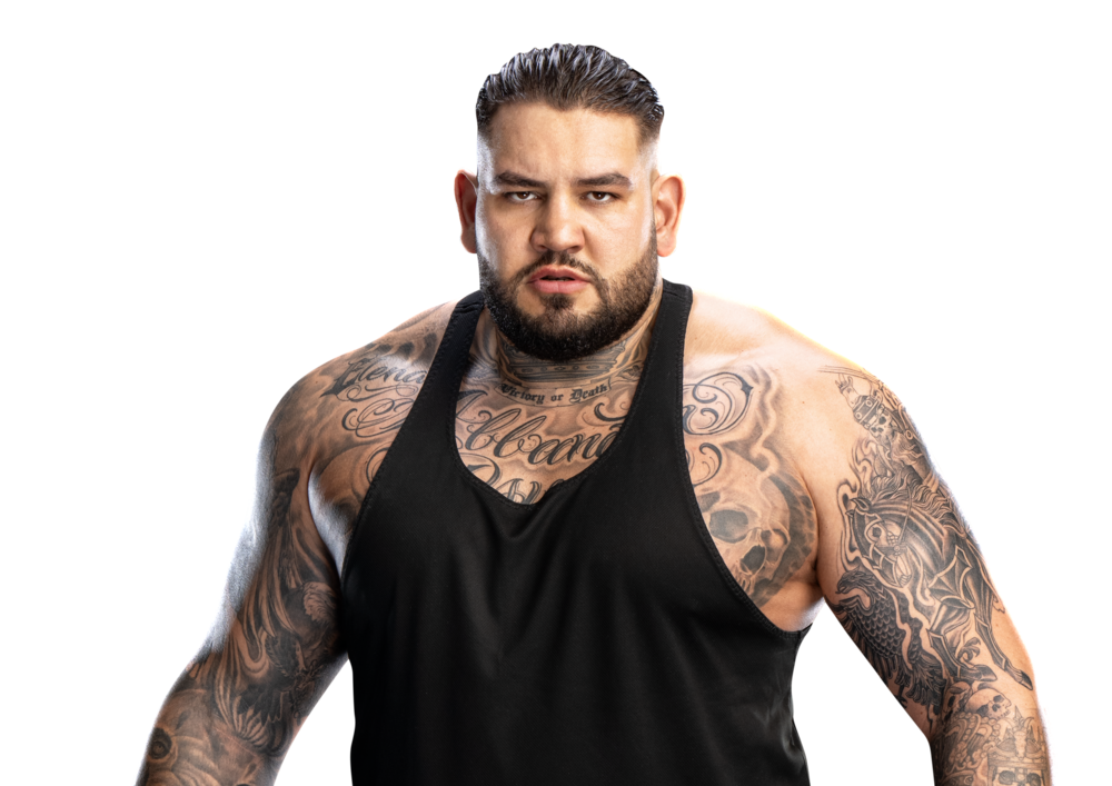 Gzim Selmani Reveals Bellator and UFC Interest Before He Signed With WWE